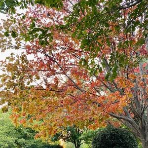 Hi! Thanks for stopping by!